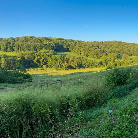 Bauernhof Fuer Naturliebhaber Bucha  Bagian luar foto