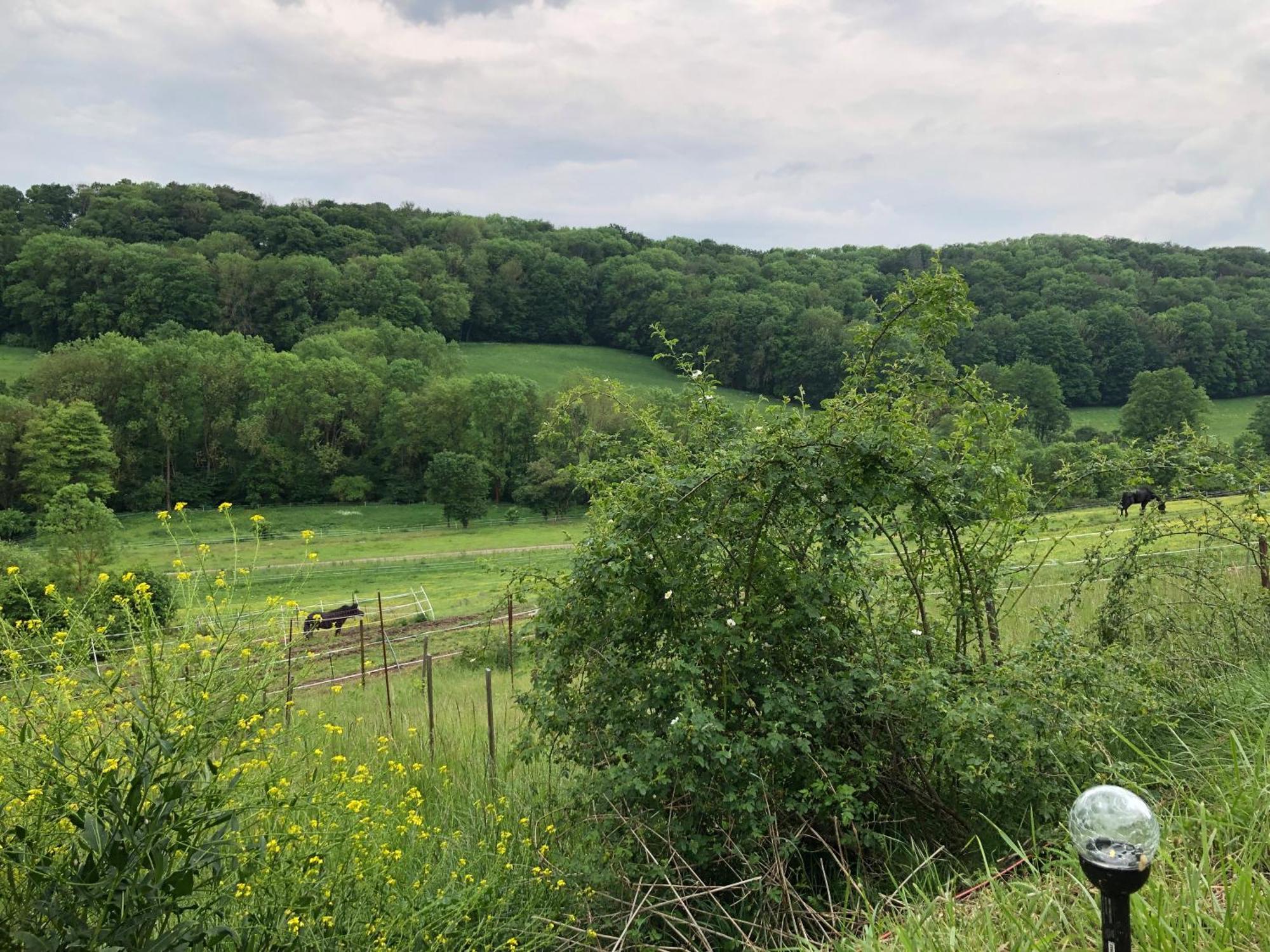 Bauernhof Fuer Naturliebhaber Bucha  Bagian luar foto